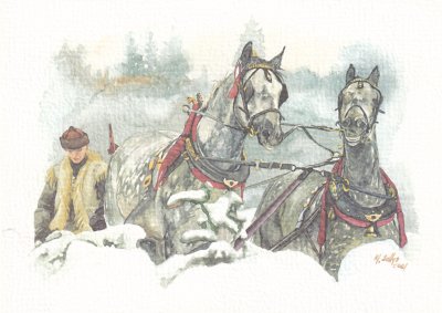 Sołtys Mirosław
