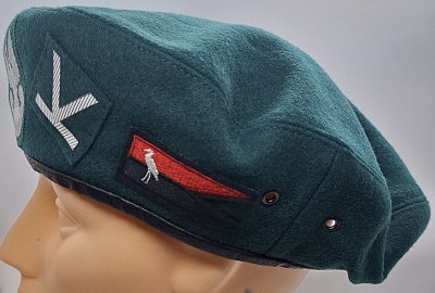 1 Batalion Ratownictwa Inżynieryjnego