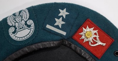 1 Batalion Strzelców Podhalańskich wz. 0404