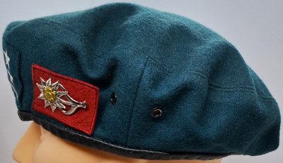 1 Batalion Strzelców Podhalańskich wz. 0404