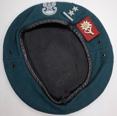 1 Batalion Strzelców Podhalańskich wz. 0404