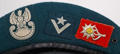 1 Batalion Strzelców Podhalańskich wz. 0404 
