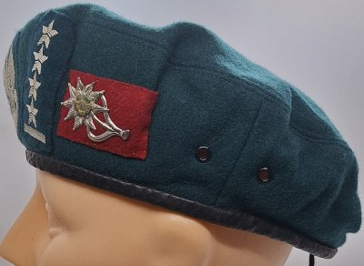 1 Batalion Strzelców Podhalańskich wz. 0404 
