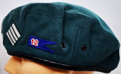 12 Dywizja Zmechanizowana