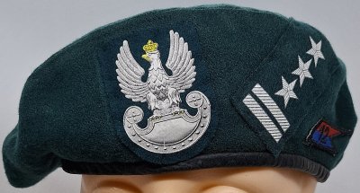 12 Dywizja Zmechanizowana (?)