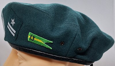 13 Pułk Przeciwlotniczy