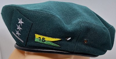 15 Pułk Przeciwlotniczy