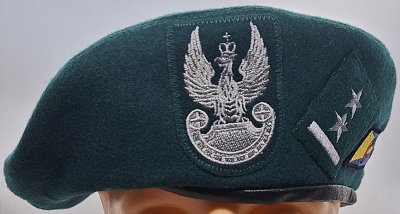 16 Pomorska Dywizja Zmechanizowana