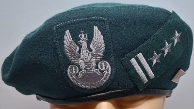 18 Dywizja Zmechanizowana