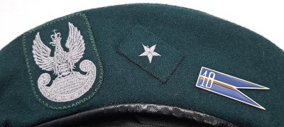 18 pułk logistyczny