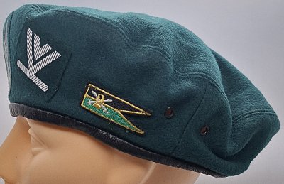 2 Pułk Artylerii Legionów