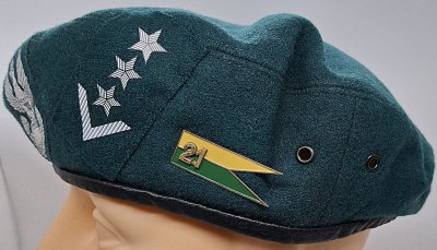 21 Dywizjon Artylerii Przeciwlotniczej