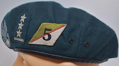 5 Batalion Rozpoznawczy