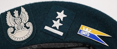 5 Dywizja Zmechanizowana / 5 Brygada Zmechanizowan