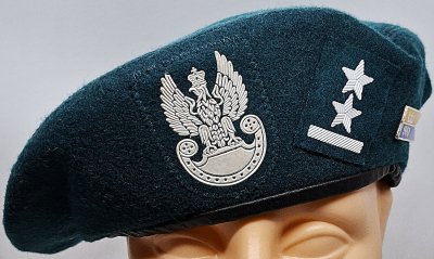5 Dywizja Zmechanizowana / 5 Brygada Zmechanizowan