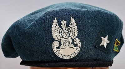5 Lubuski Pułk Artylerii