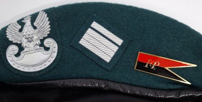 5 Pułk Inżynieryjny