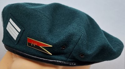 5 Pułk Inżynieryjny