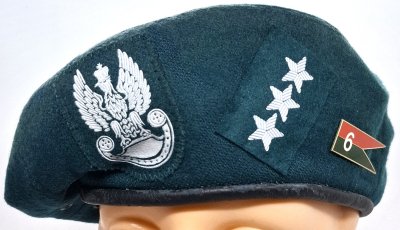 6 Toruńska Brygada Artylerii / 6 DAS