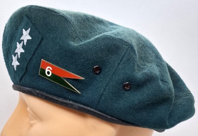 6 Toruńska Brygada Artylerii / 6 DAS