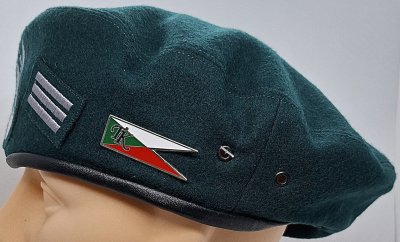 Akademia Wojsk Lądowych