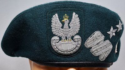 Dowództwo Operacyjne RSZ (DORSZ)