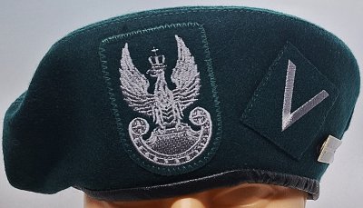 Dywizjon artylerii samobieżnej 12 BZ