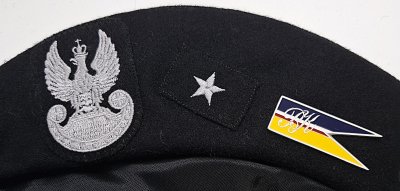 1 Batalion Piechoty Zmotoryzowanej 17 BZ