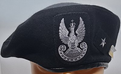 1 Batalion Piechoty Zmotoryzowanej 17 BZ