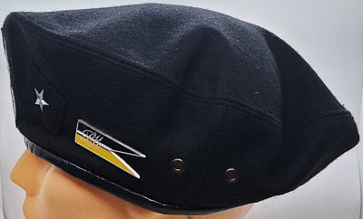 1 Batalion Piechoty Zmotoryzowanej 17 BZ