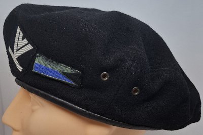 1 Brabancki Batalion Czołgów wz. 418/MON 