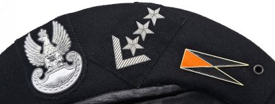 11 Dywizja Kawalerii Pancernej