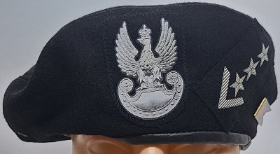 11 Dywizja Kawalerii Pancernej 