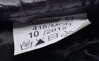 2 Korpus Zmechanizowany