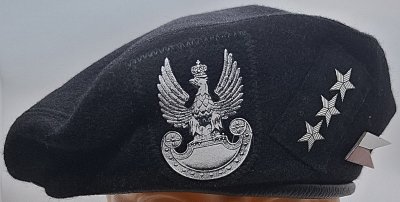 3 Batalion Piechoty Zmotoryzowanej 17 BZ