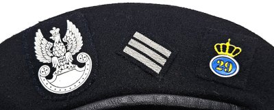 Batalion czołgów 29 Brygady Zmechanizowanej