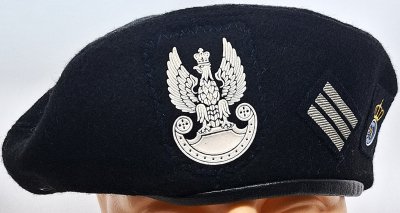Batalion czołgów 29 Brygady Zmechanizowanej