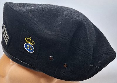 Batalion czołgów 29 Brygady Zmechanizowanej