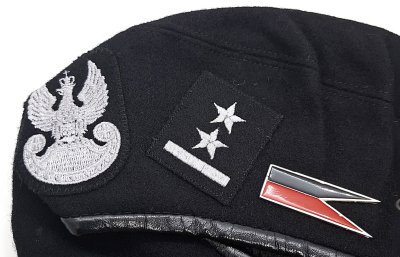 Dywizjon Artylerii Samobieżnej 17 BZ