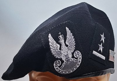  Dywizjon Artylerii Samobieżnej 17 BZ