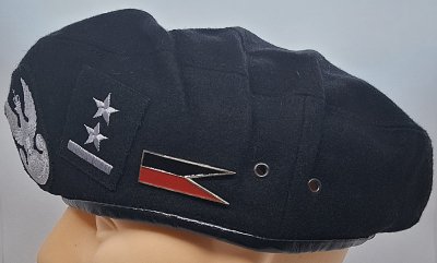 Dywizjon Artylerii Samobieżnej 17 BZ