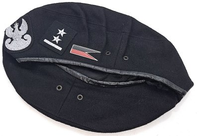  Dywizjon Artylerii Samobieżnej 17 BZ