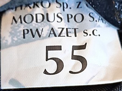  Dywizjon Artylerii Samobieżnej 17 BZ