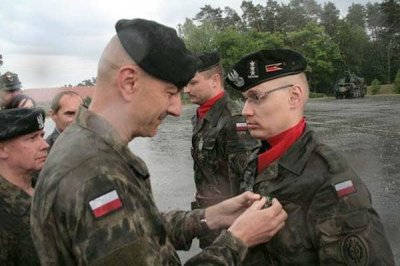  Dywizjon Artylerii Samobieżnej 17 BZ