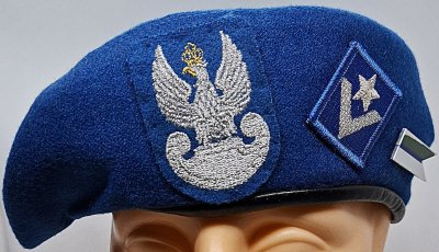 1 Lęborski Batalion Zmechanizowany