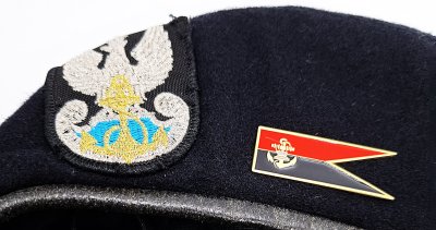 43 Batalion Saperów