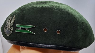AGAT - zespół szturmowy 
