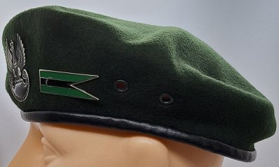 AGAT - zespół szturmowy 