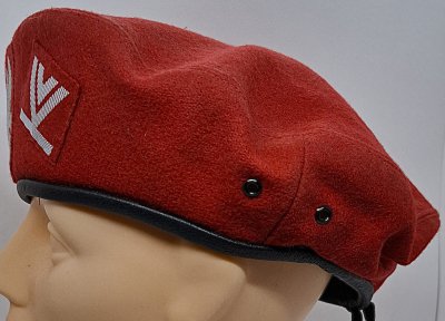 Żandarmeria Wojskowa wz. 0404