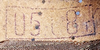 Czapka garnizonowa tzw wz. 71 - chorąży